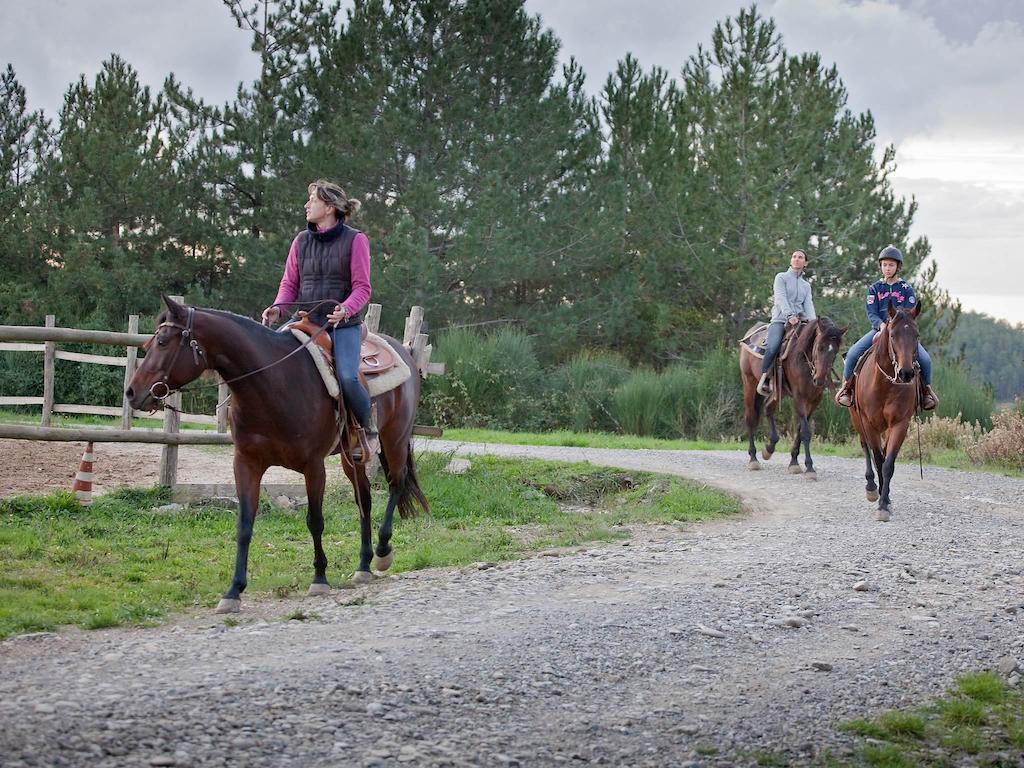 Tenuta La Silva Seggiano Exterior foto