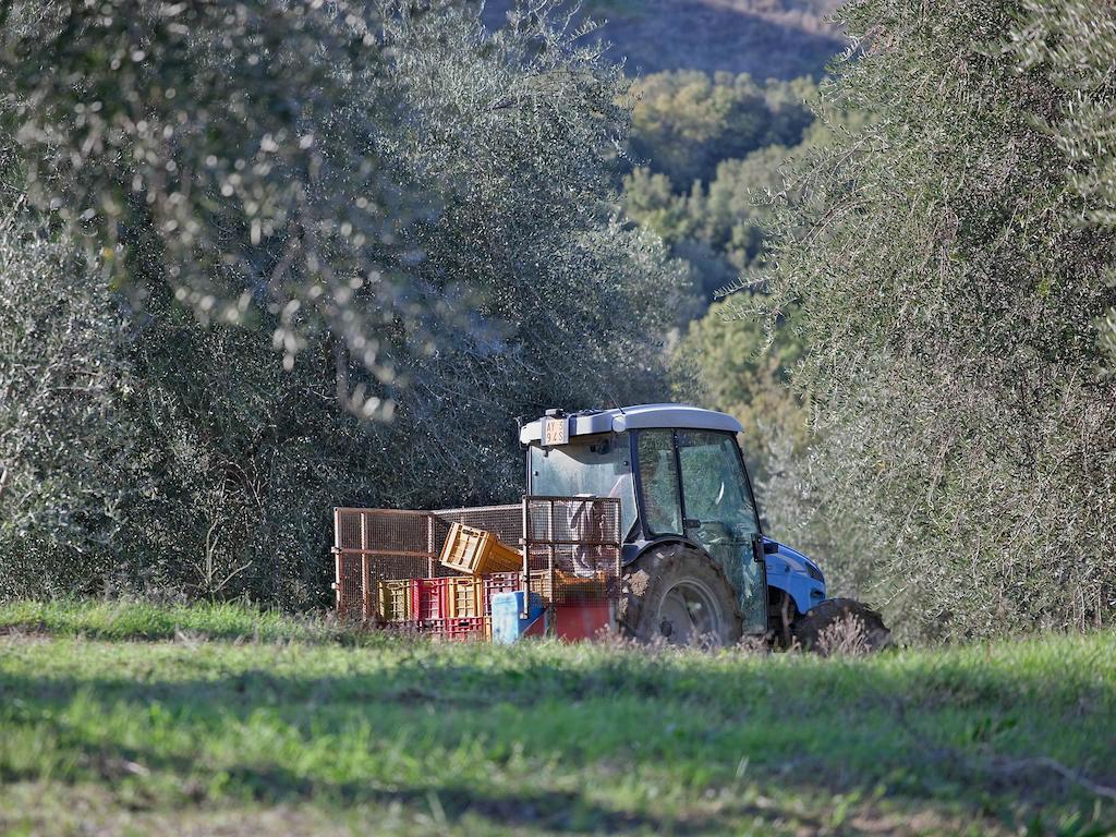 Tenuta La Silva Seggiano Exterior foto