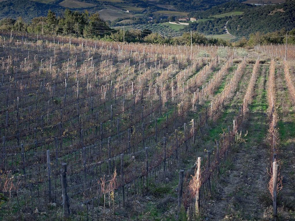 Tenuta La Silva Seggiano Exterior foto